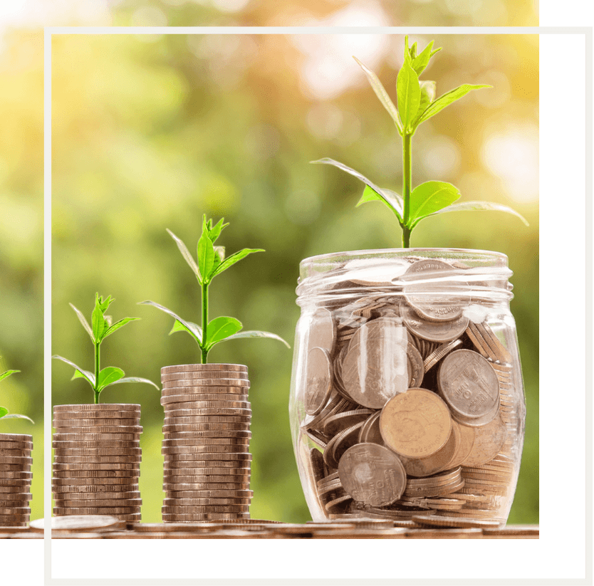 コインに芽がでるイメージ画像